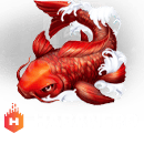Virgo555 HABANERO